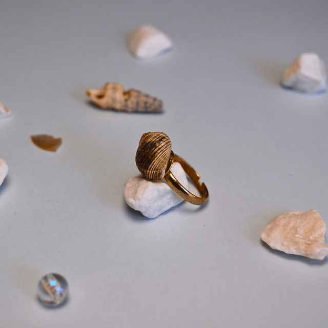SEA SHELL RINGS – different textures and colors available  