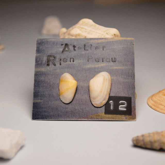 MINI SHELL EARRINGS – sold separately or as a pair