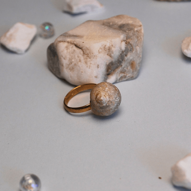 SEA SHELL RINGS – different textures and colors available  