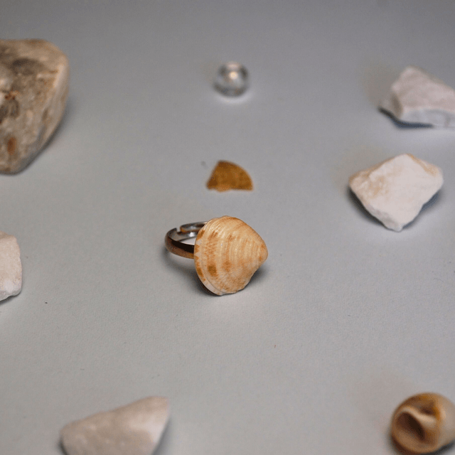 SEA SHELL RINGS – different textures and colors available  