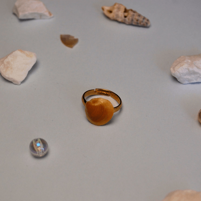 SEA SHELL RINGS – different textures and colors available  