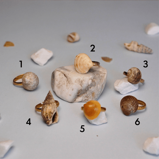 SEA SHELL RINGS – different textures and colors available  