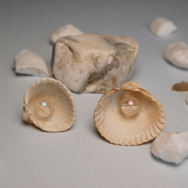 SHELL PEARL EARRINGS – different textures, sizes and colors available